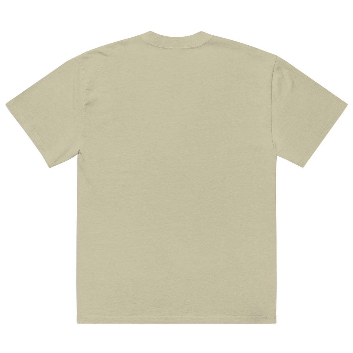 Oversized faded t-shirt, Faded Eucalyptus, back view