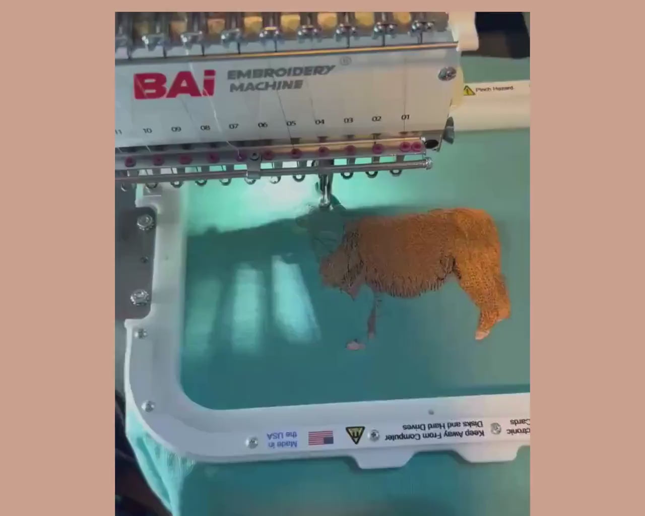 Video