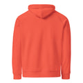 Unisex eco raglan hoodie, Burnt Orange, back view