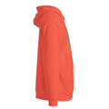 Unisex eco raglan hoodie, Burnt Orange, right view