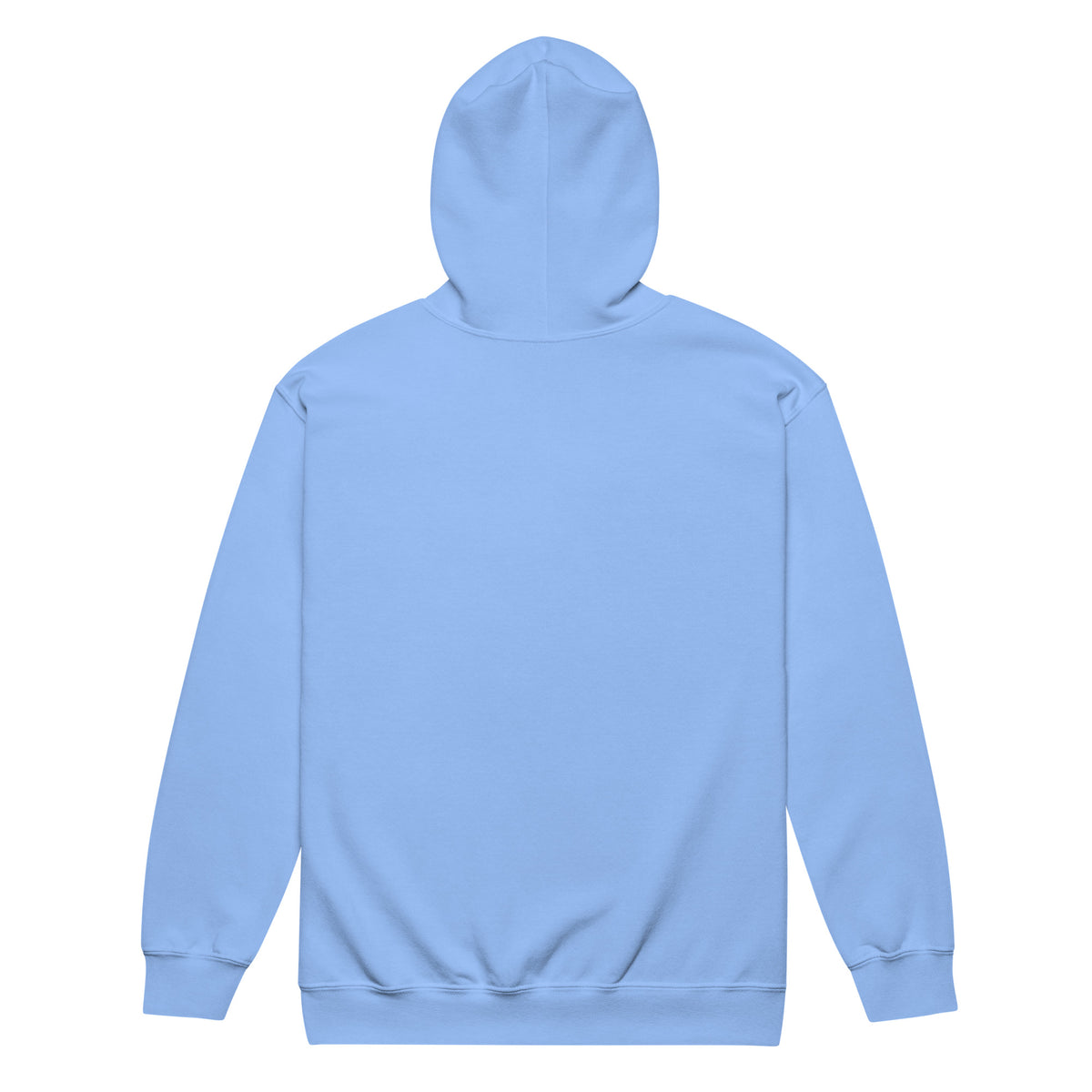 Unisex heavy blend zip hoodie, Carolina Blue, back view