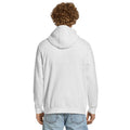 Unisex premium mid-weight hoodie, Heather Grey, back view