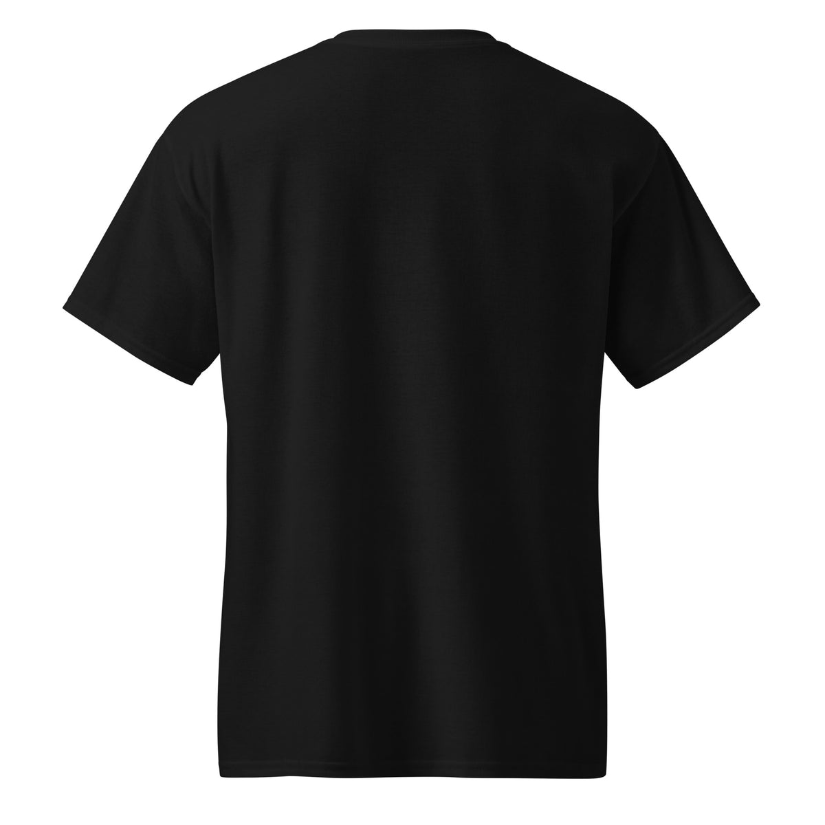 DryBlend T-Shirt in Black, back view