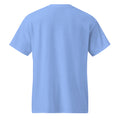 DryBlend T-Shirt in Carolina Blue, back view
