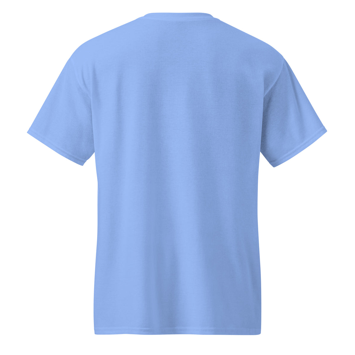 DryBlend T-Shirt in Carolina Blue, back view