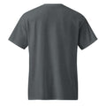 DryBlend T-Shirt in Dark Heather, back view