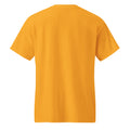 DryBlend T-Shirt in Gold, back view