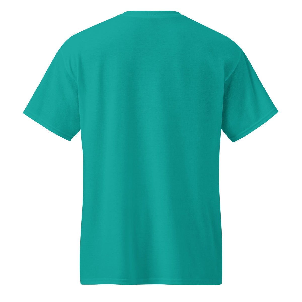DryBlend T-Shirt in Jade Dome, back view