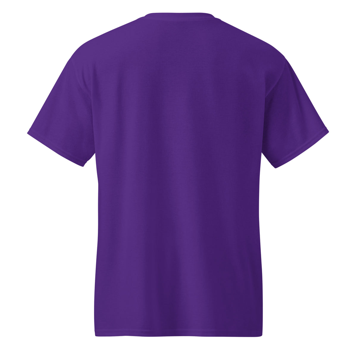 DryBlend T-Shirt in Purple, back view