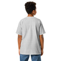 Youth classic tee, Sport Grey, back view