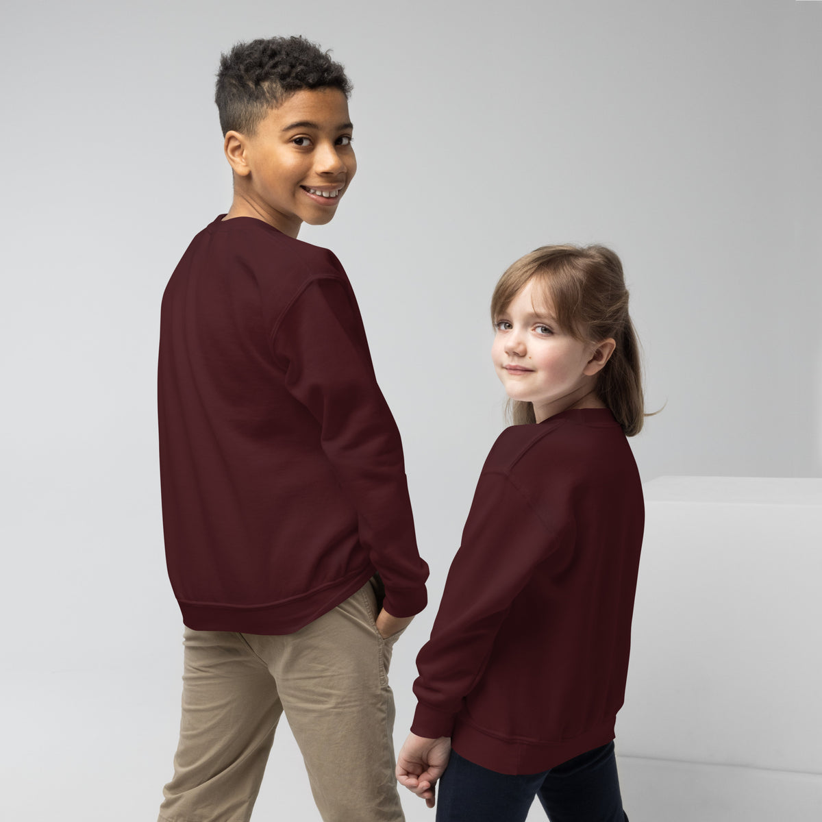 Youth crewneck sweatshirt, Maroon, back view