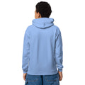 Youth heavy blend hoodie, Carolina Blue, back view