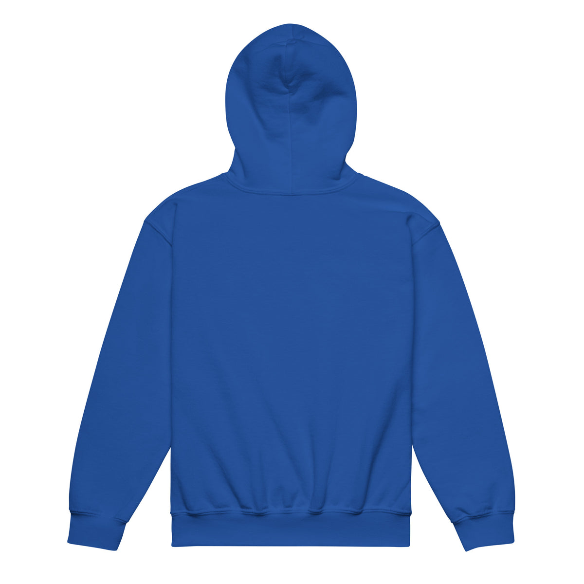 Youth heavy blend hoodie, Royal, back view