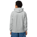 Youth heavy blend hoodie, Sport Grey, back view