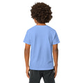 Youth t-shirt, Carolina Blue, back view
